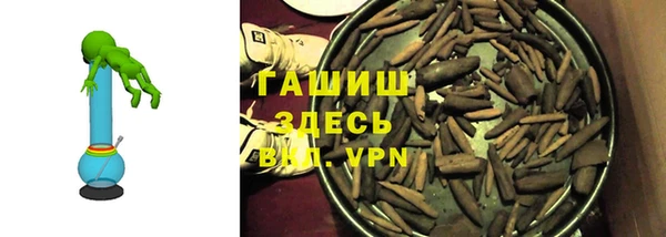 сатива Лабытнанги