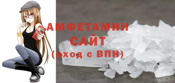 сатива Лабытнанги