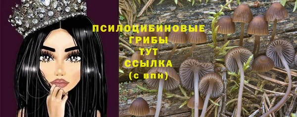 стафф Ладушкин