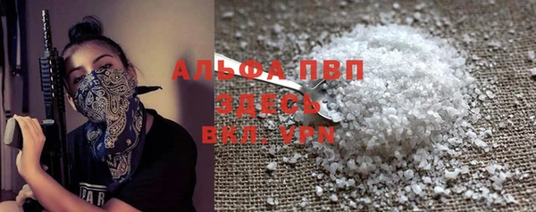 сатива Лабытнанги