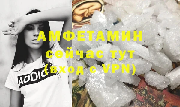 сатива Лабытнанги