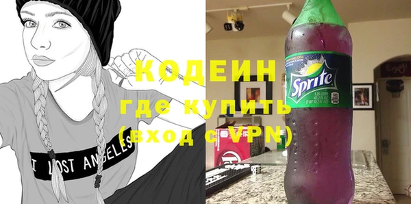 сатива Лабытнанги