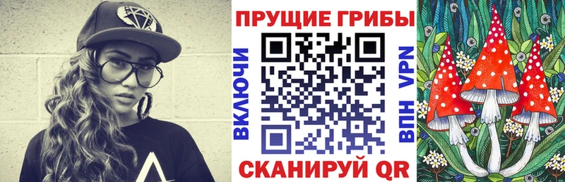 Псилоцибиновые грибы Psilocybine cubensis Сортавала