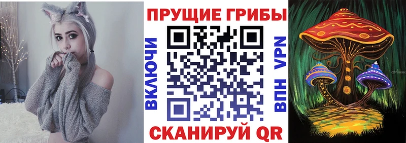 где продают   Сортавала  Псилоцибиновые грибы MAGIC MUSHROOMS 